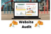 Website Audit image 2